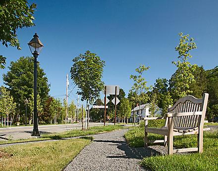Milford Streetscape | Streetscape Renovation