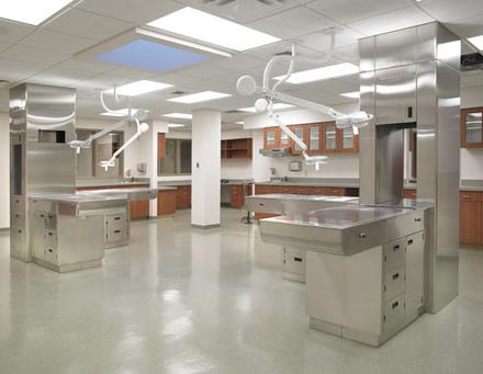 Dunmore Pet Health Clinic | Conversion